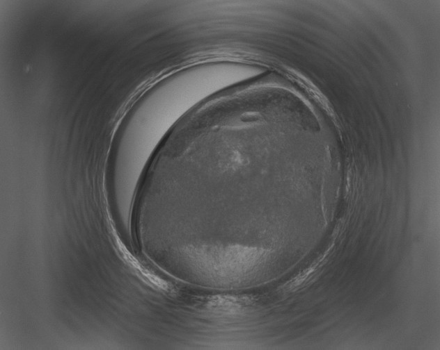 X0000084560938200702231228