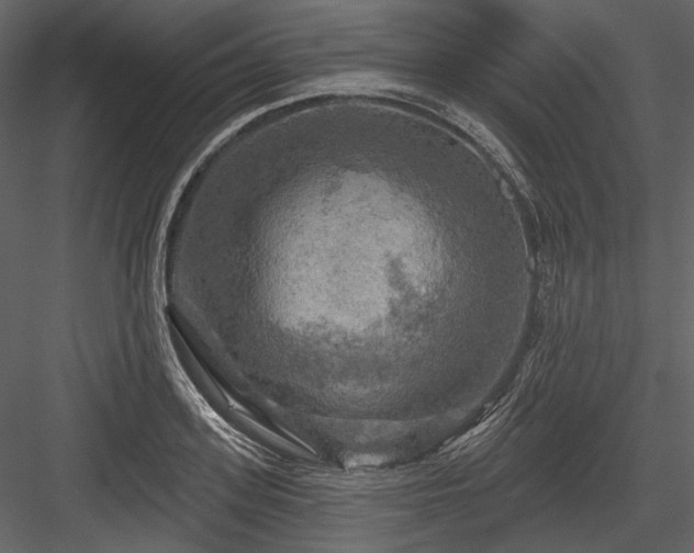 X0000084560939200702231228