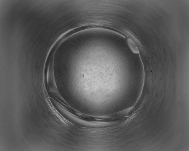X0000084560940200702231228