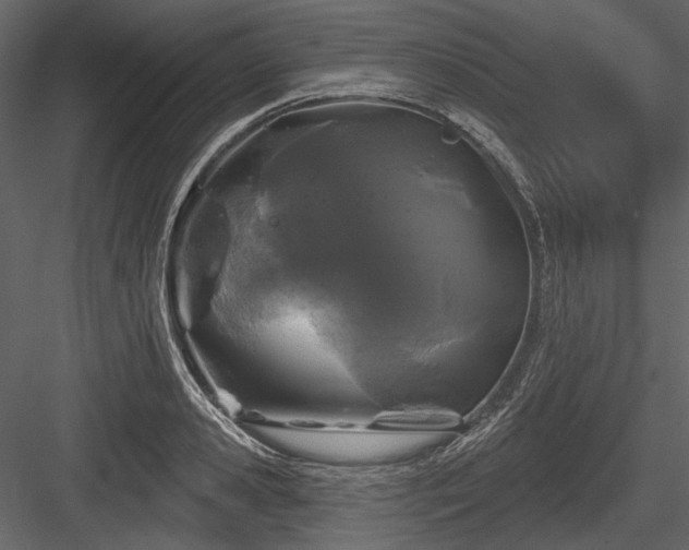 X0000084560941200702231228
