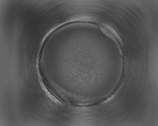 X0000084560944200702231228
