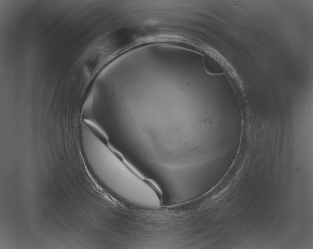 X0000084560945200702231228