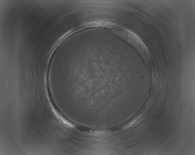 X0000084560946200702231228