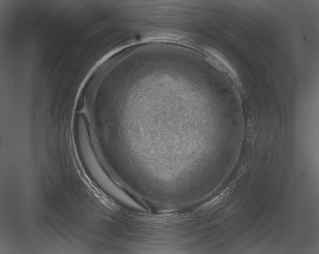 X0000084560948200702231228