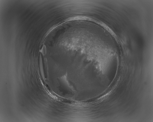 X0000084560953200702231228
