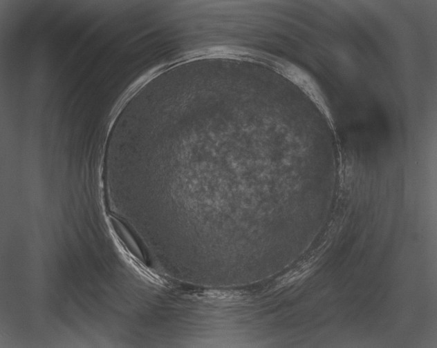 X0000084560954200702231228