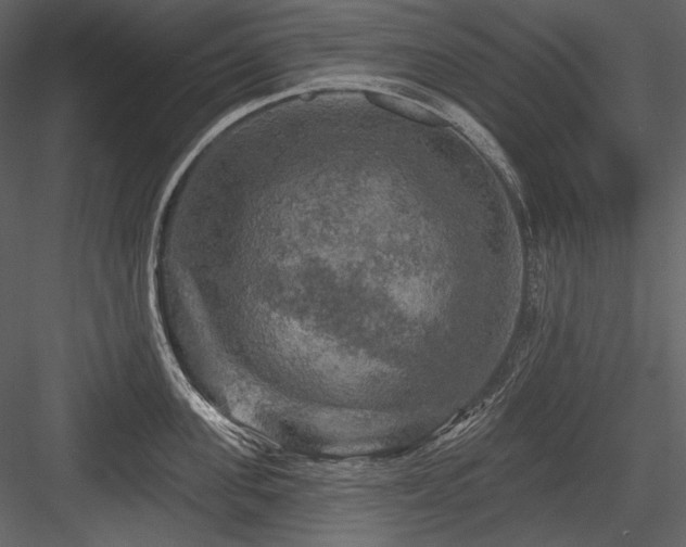X0000084560955200702231228