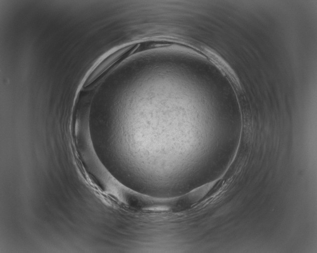 X0000084560956200702231228