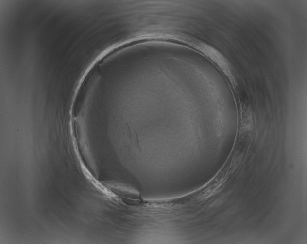 X0000084560958200702231228