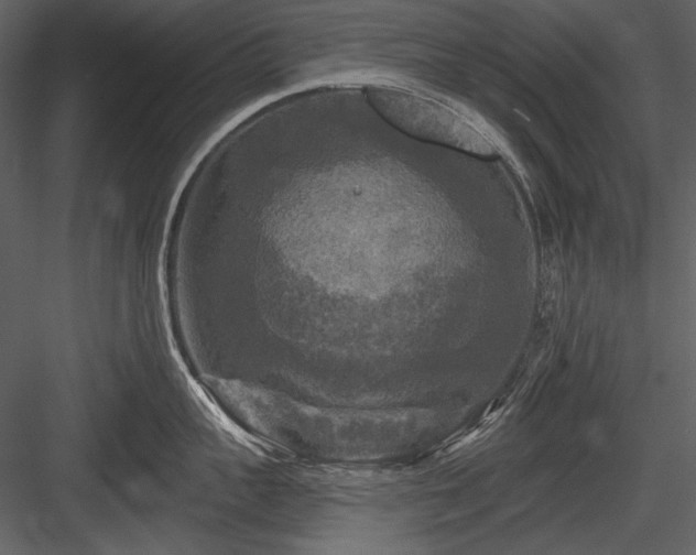 X0000084560959200702231228