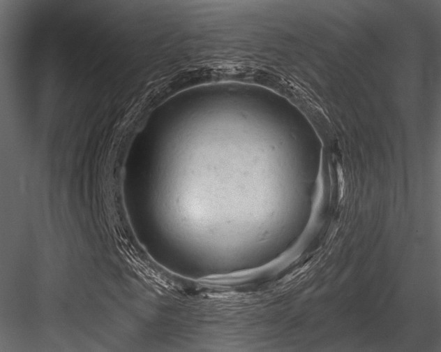 X0000084560961200702231228