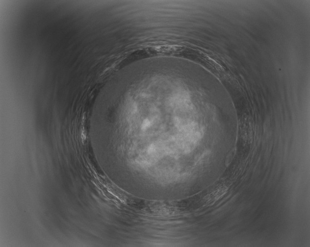 X0000084560962200702231228