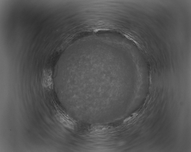 X0000084560963200702231228