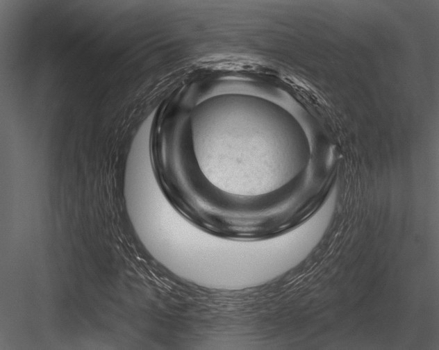 X0000084560965200702231228