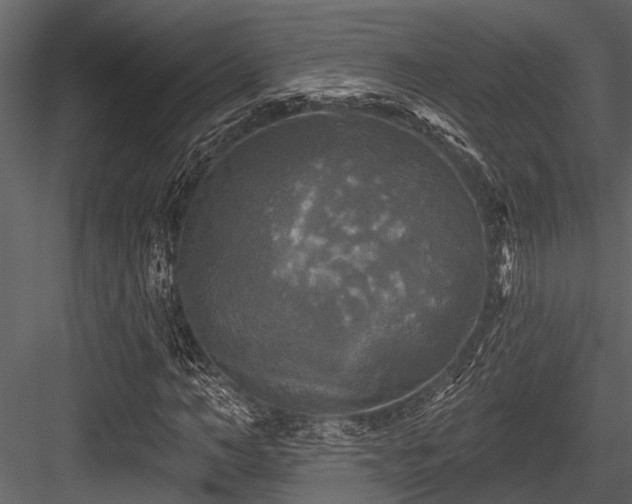 X0000084560966200702231228