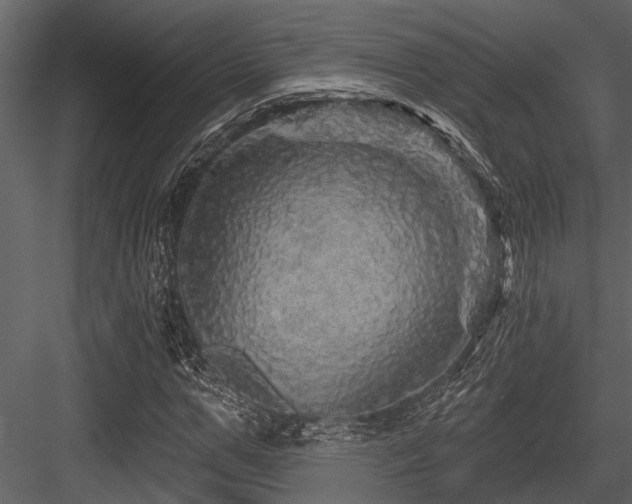 X0000084560967200702231227