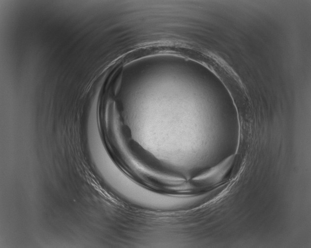 X0000084560969200702231227
