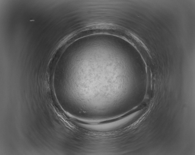 X0000084560970200702231227