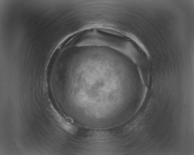 X0000084560972200702231227