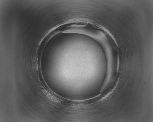 X0000084560973200702231227