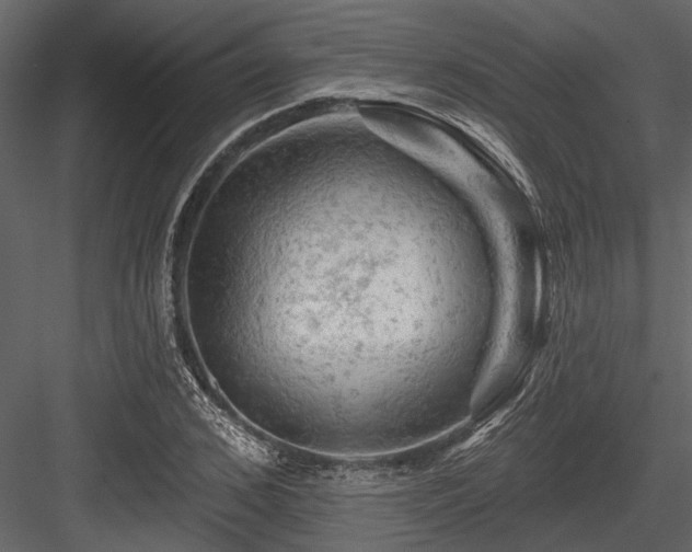 X0000084560976200702231227