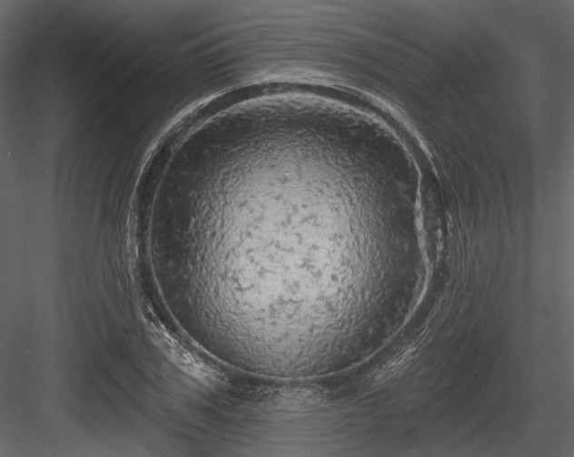 X0000084560979200702231227