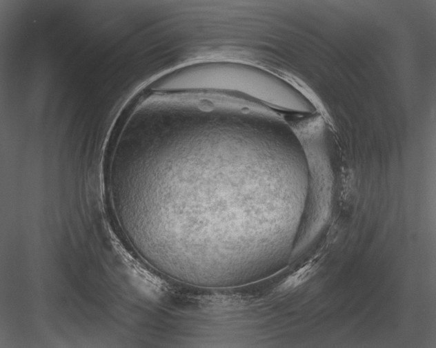 X0000084560980200702231227