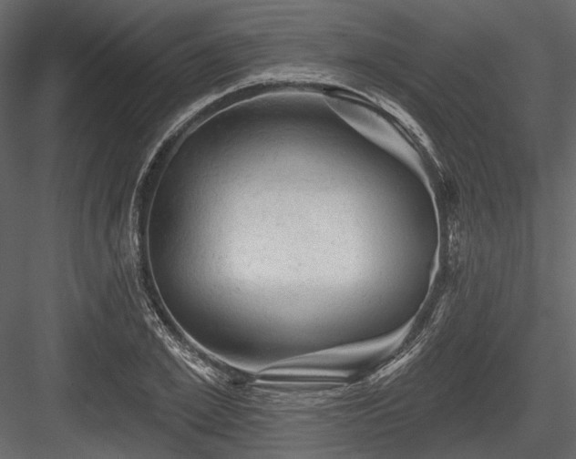 X0000084560981200702231227