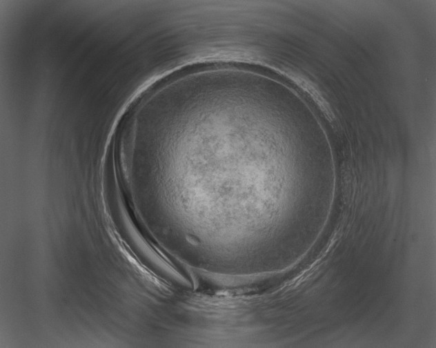 X0000084560982200702231227