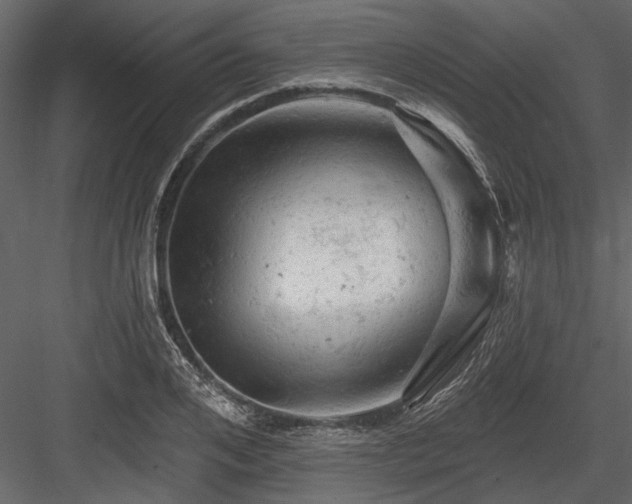 X0000084560984200702231227