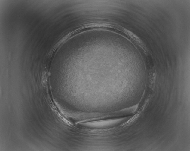 X0000084560985200702231227