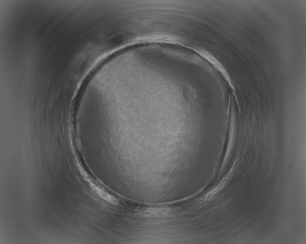 X0000084560989200702231227