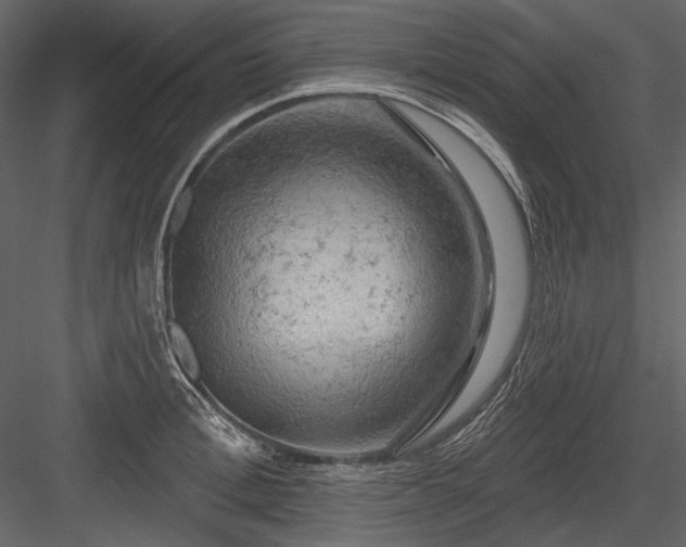 X0000084560996200702231227