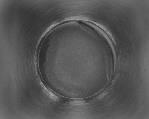 X0000084560998200702231227