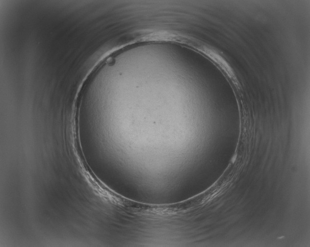 X0000084561000200702231227