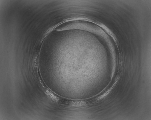 X0000084561001200702231227