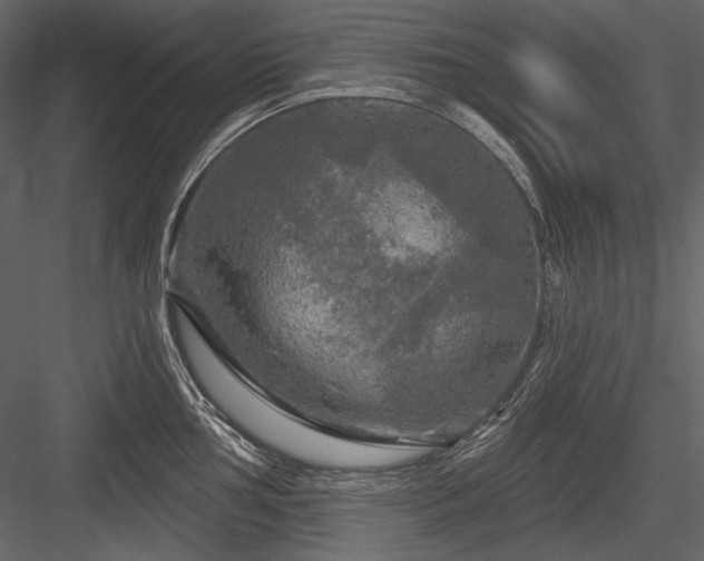 X0000084561002200702231227