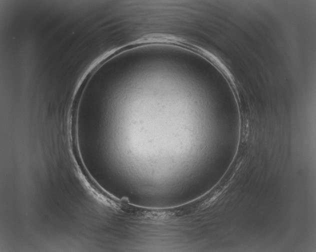 X0000084561003200702231227