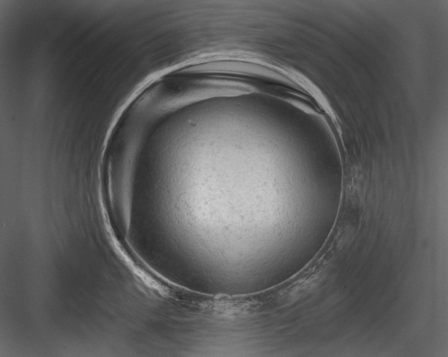 X0000084561005200702231227