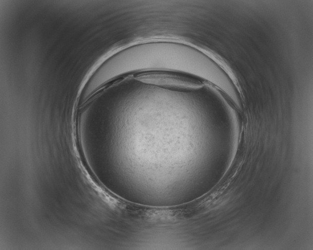 X0000084561006200702231227
