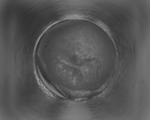 X0000084561008200702231227