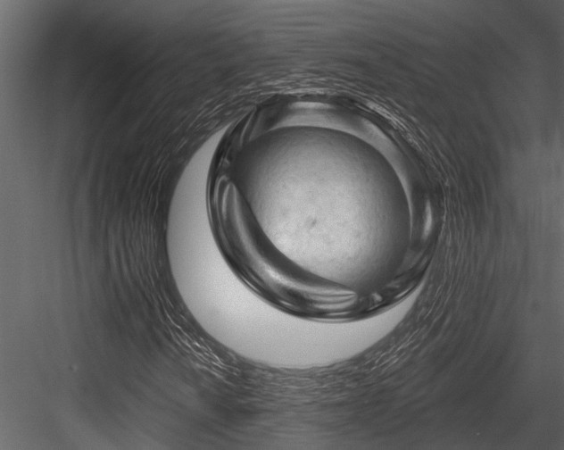 X0000084561010200702231226