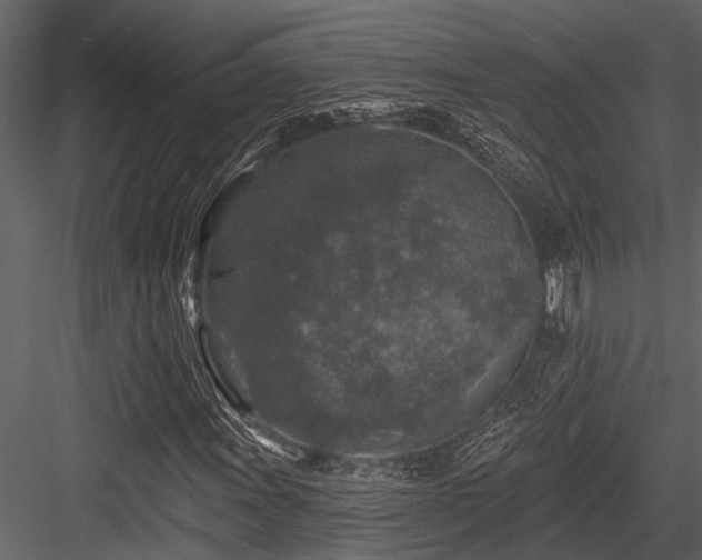 X0000084561011200702231226