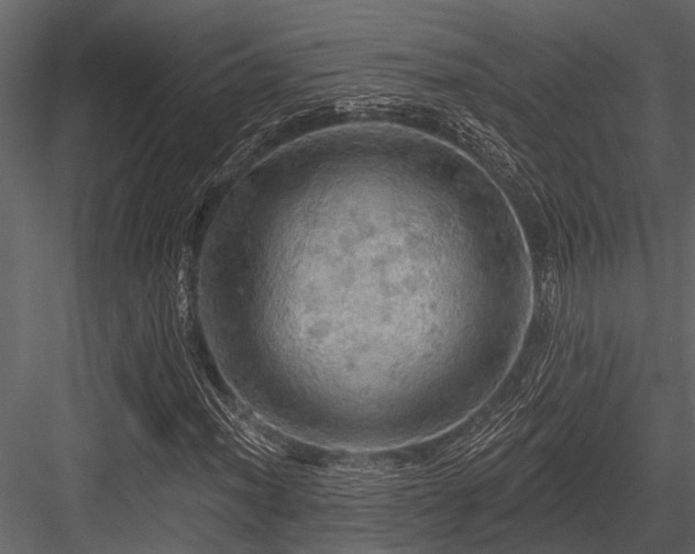 X0000084561012200702231226