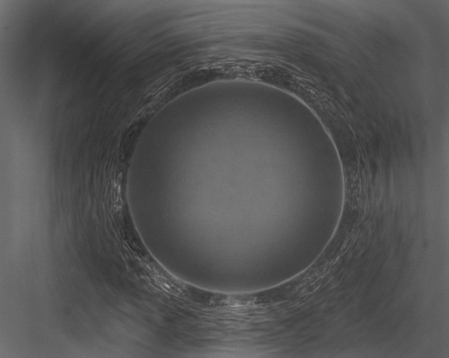X0000084561013200702231226