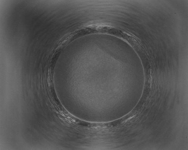 X0000084561014200702231226