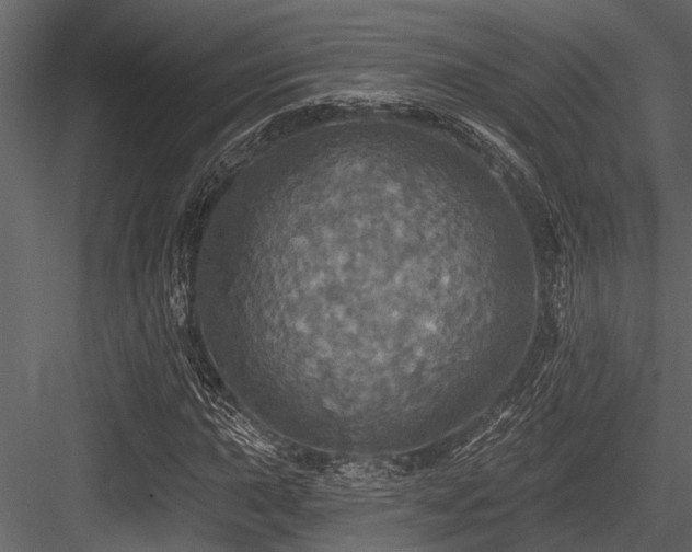 X0000084561015200702231226