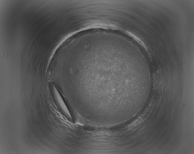 X0000084561021200702231226