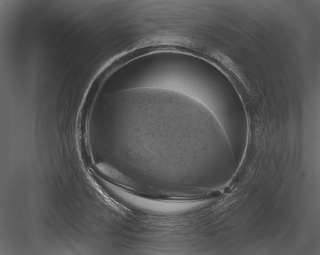 X0000084561024200702231226