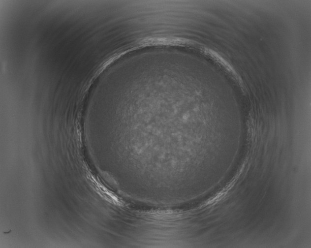 X0000084561025200702231226